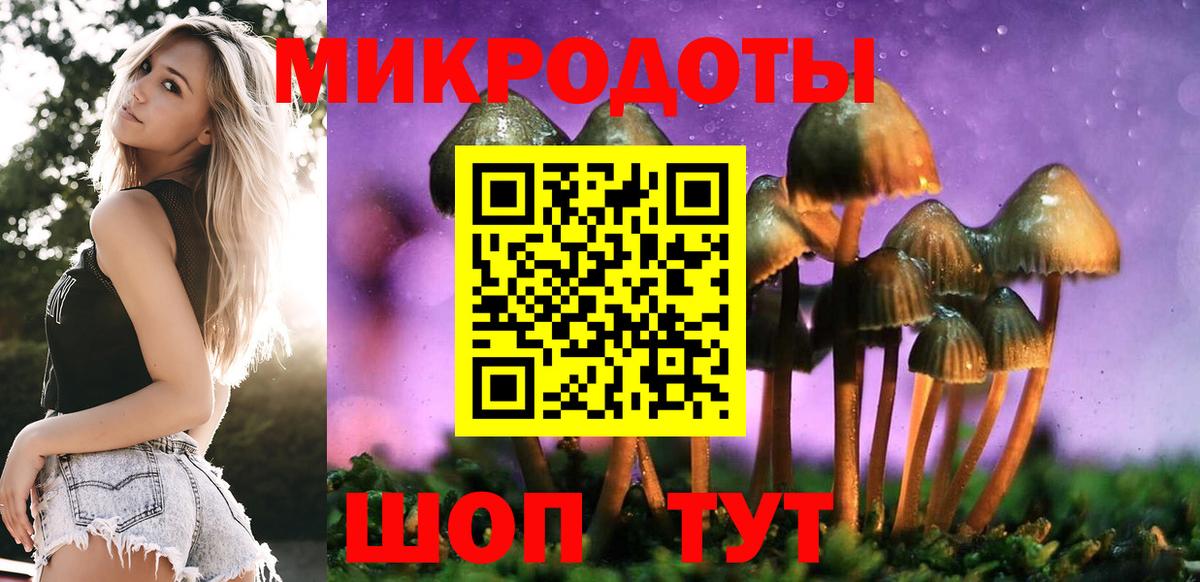 Псилоцибиновые грибы мухоморы Ишим